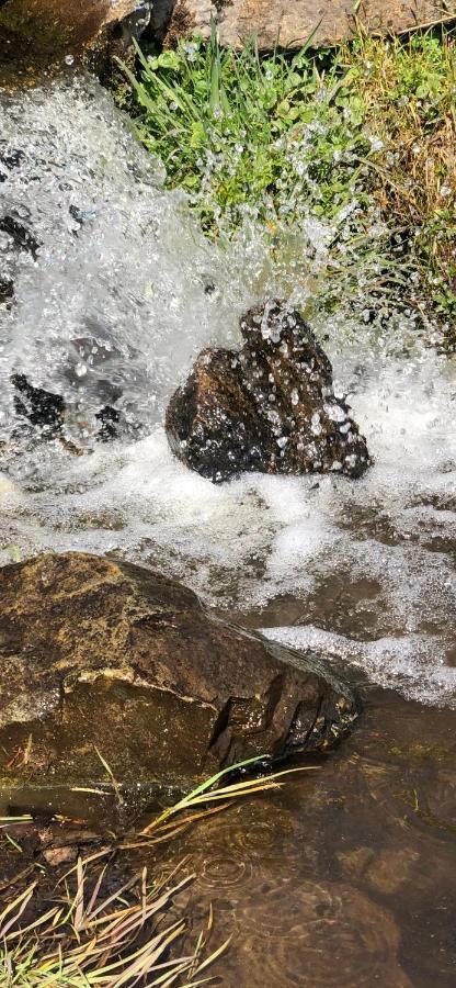 Sonnenweg Apartments Schladming Dış mekan fotoğraf